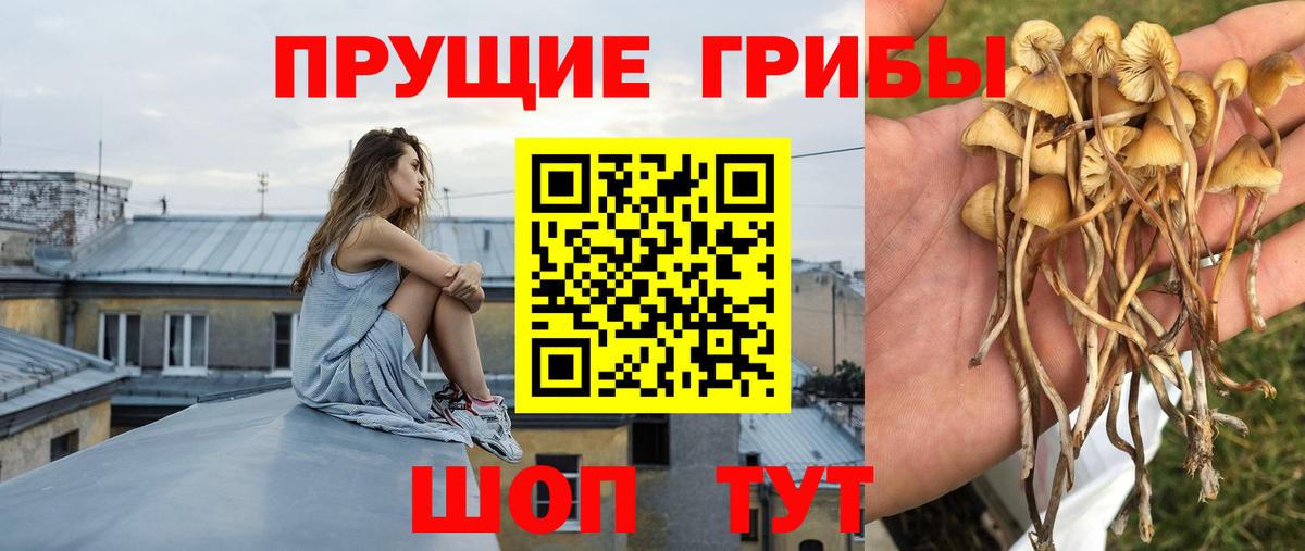 Галлюциногенные грибы мухоморы Верхний Уфалей