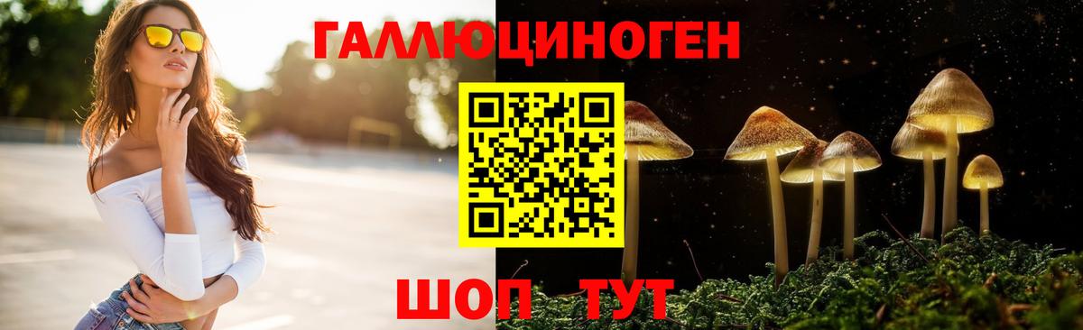 Верхний Уфалей  Псилоцибиновые грибы Psilocybine cubensis  Вход с VPN 